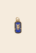 Midnight Owl Charm