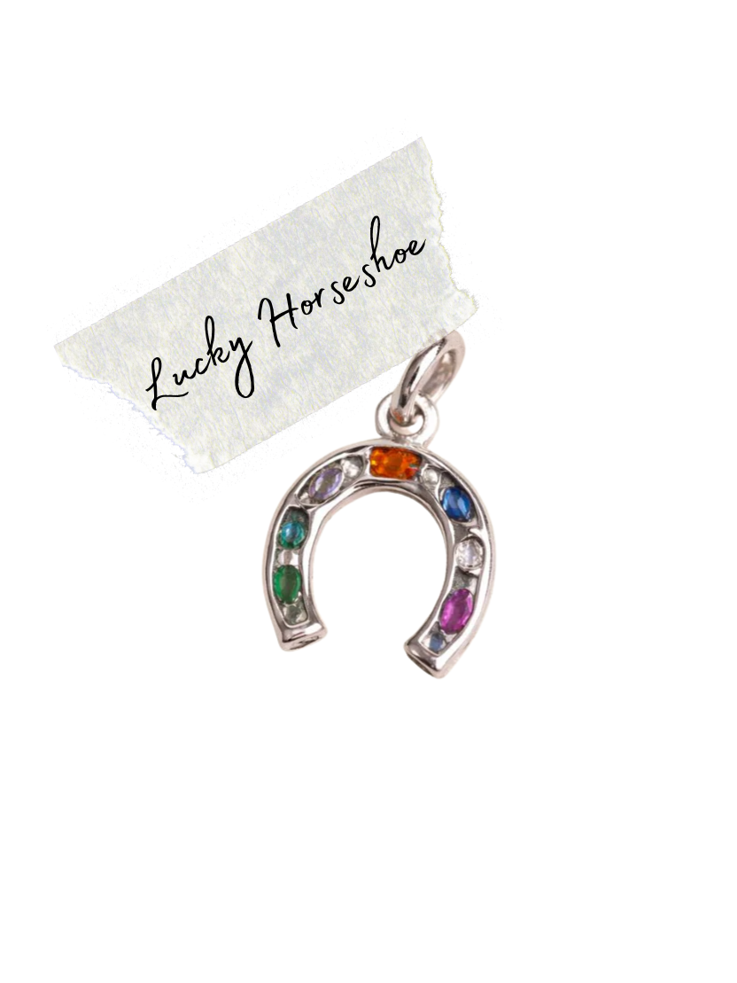 Silver lucky Horseshoe Charm