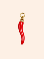 Spicy Initial Charm Necklace