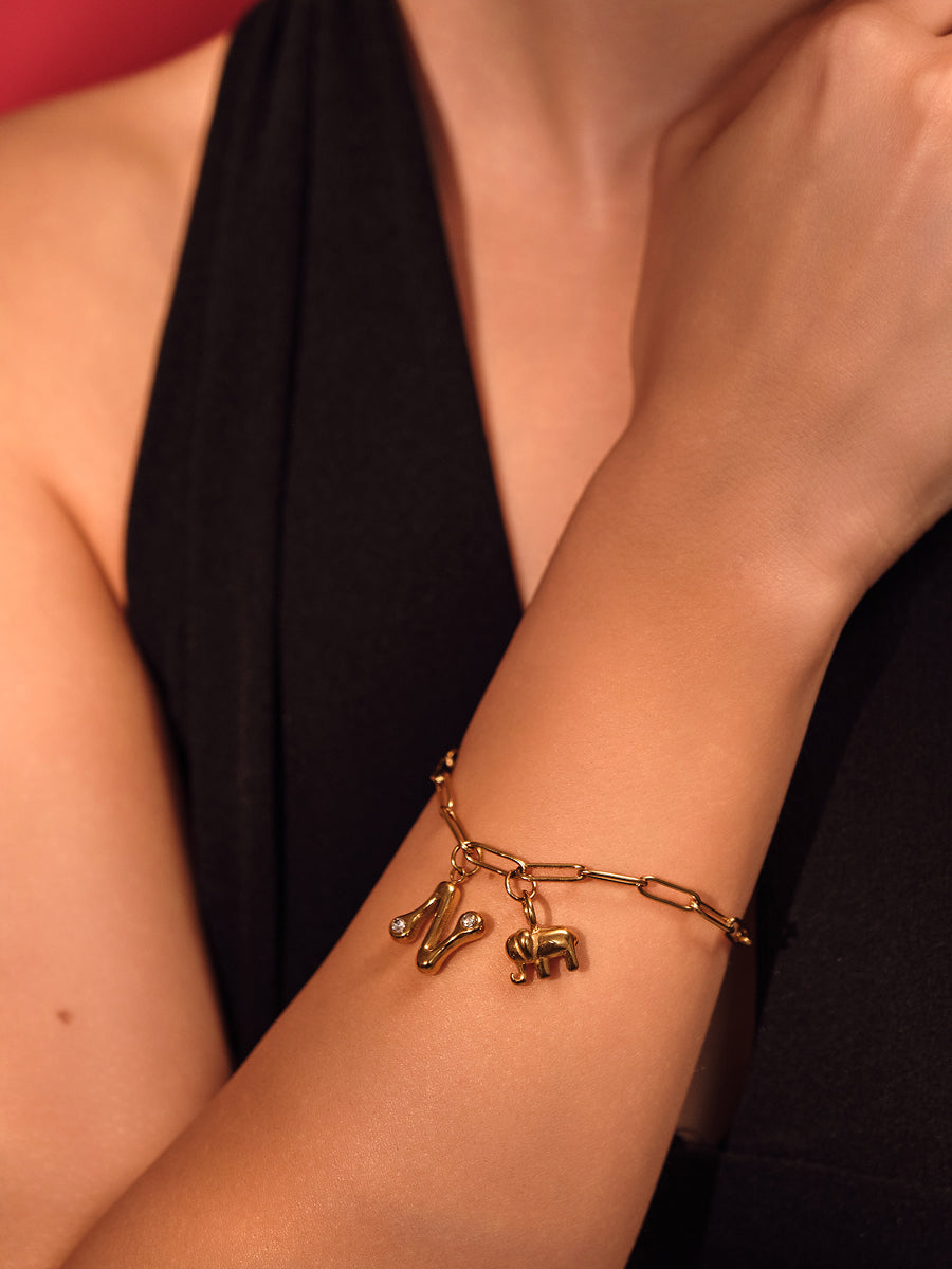 Golden Safari Charm Bracelet
