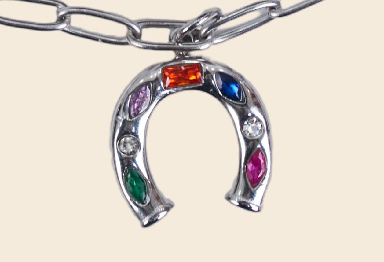Silver lucky Horseshoe Charm