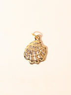 Golden Conch Charm